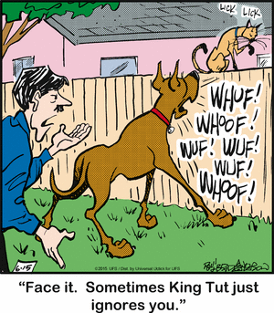 marmaduke